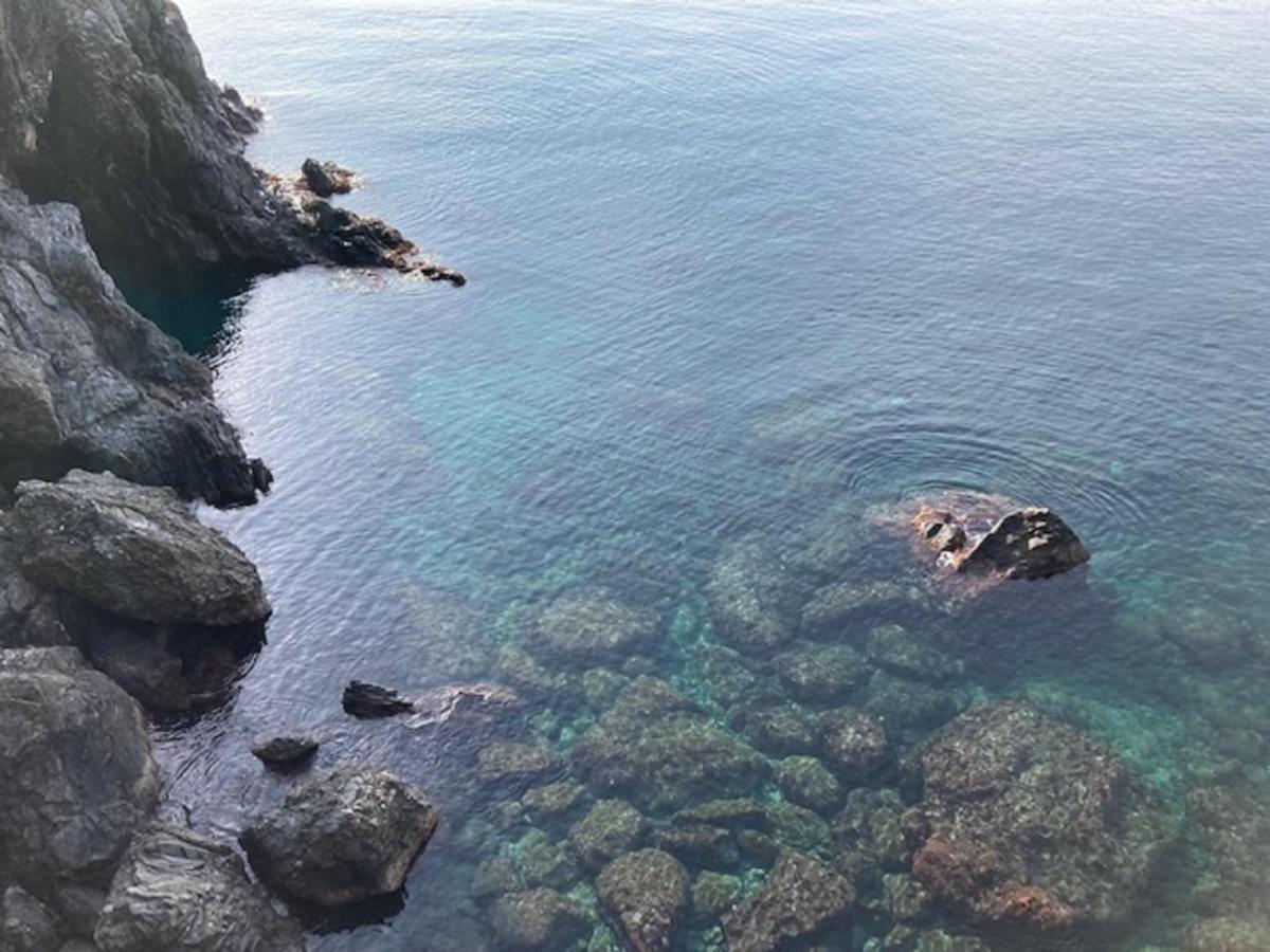 La Gemma Di Monterosso, In Centro Vicino Al Mare Apartment Монтеросо ал Маре Екстериор снимка
